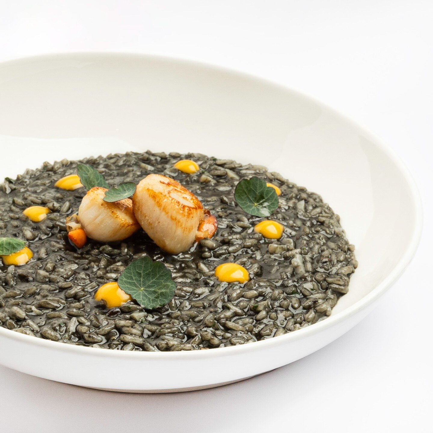 Avez-vous d&eacute;j&agrave; go&ucirc;t&eacute; notre risotto &agrave; l'encre de seiche, Saint-Jacques et gel de cl&eacute;mentine ? Une symphonie de saveurs &agrave; retrouver &agrave; la carte de votre restaurant 🥰