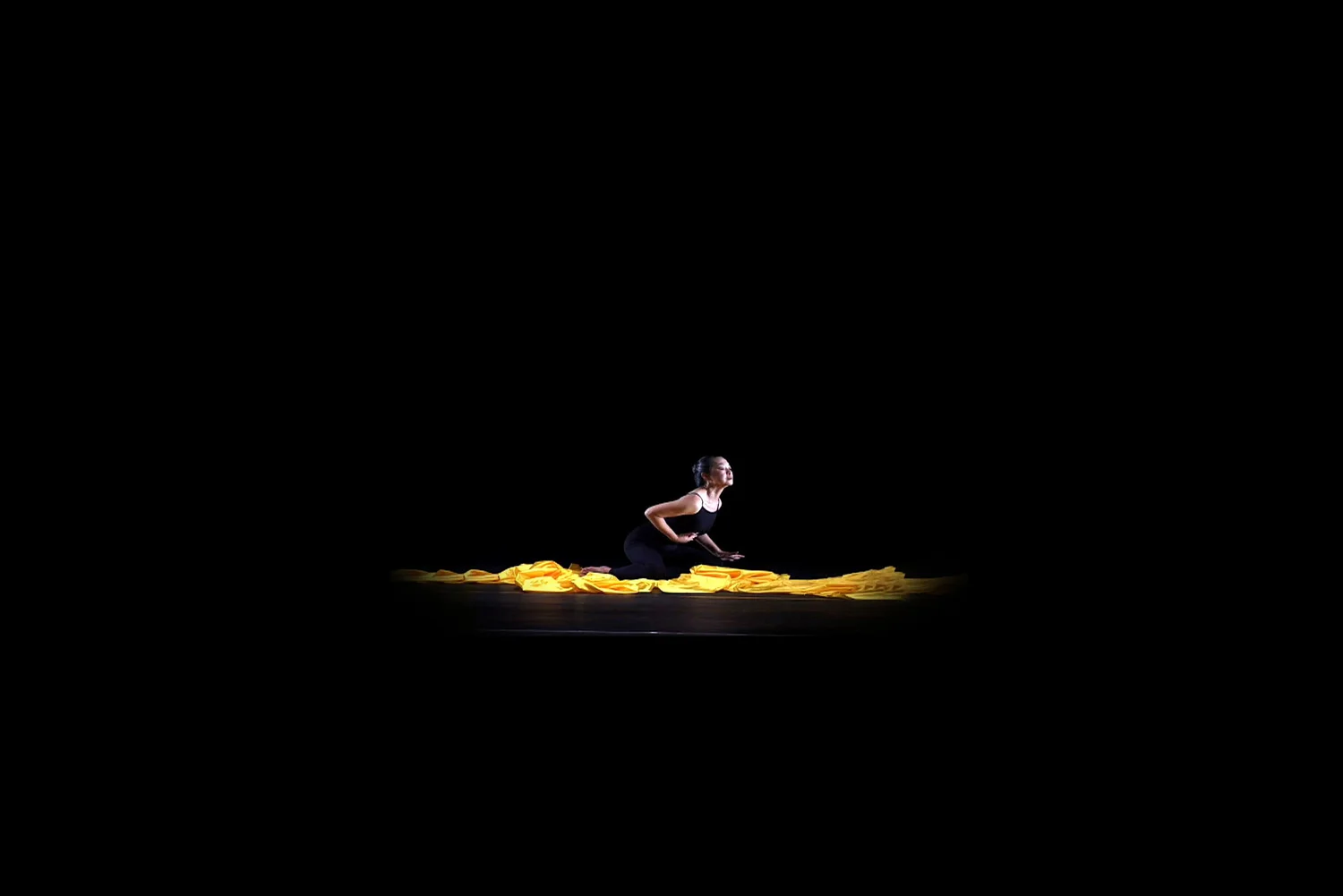 Performances — Mimi Chen Ting