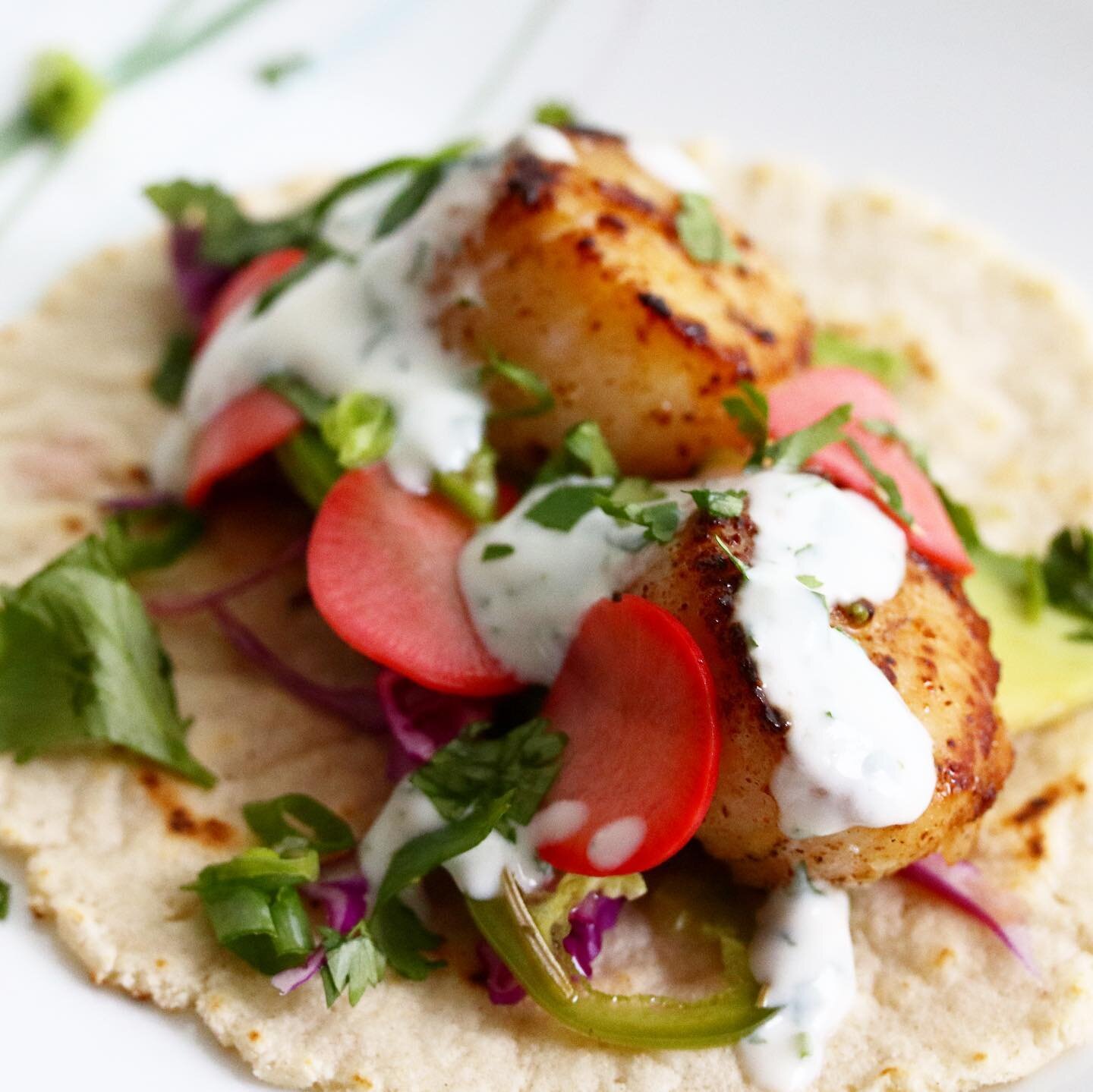 Scallop Tacos