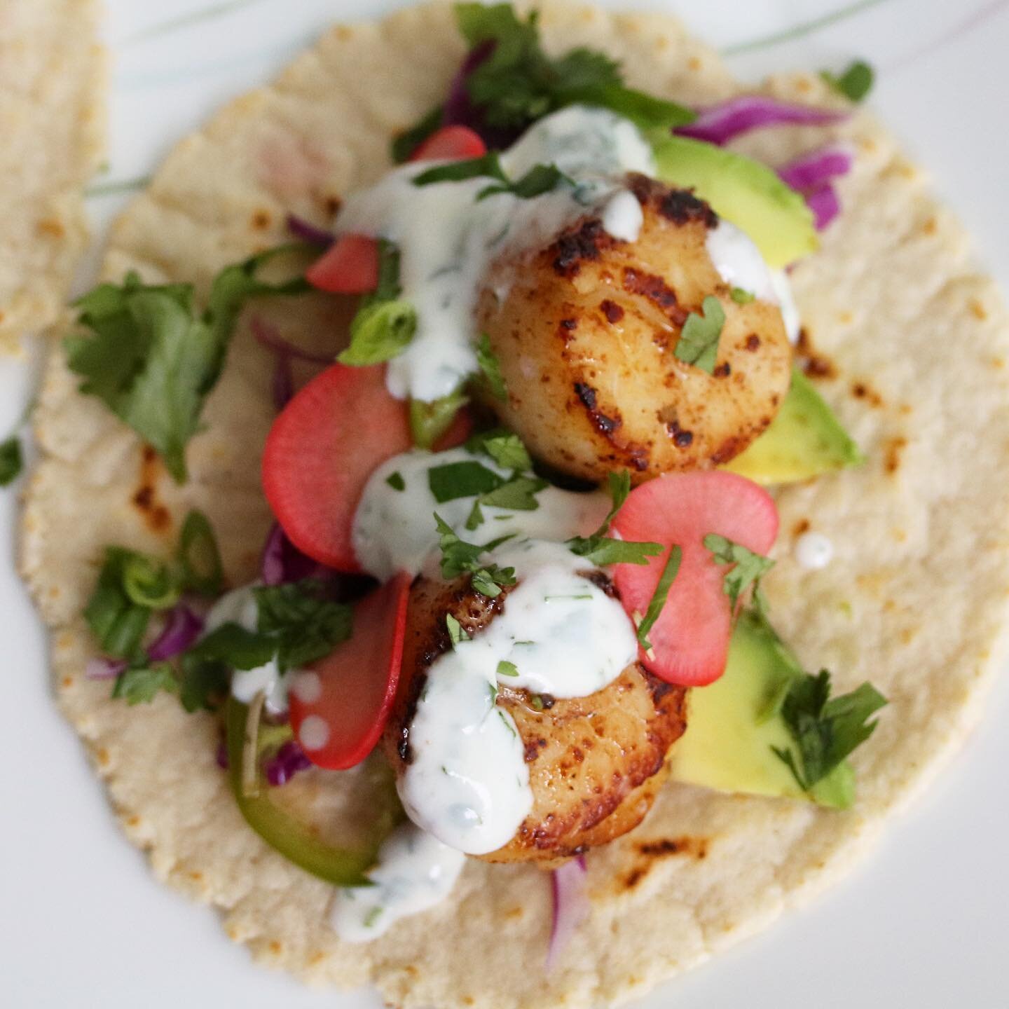Scallop Taco 2.jpeg