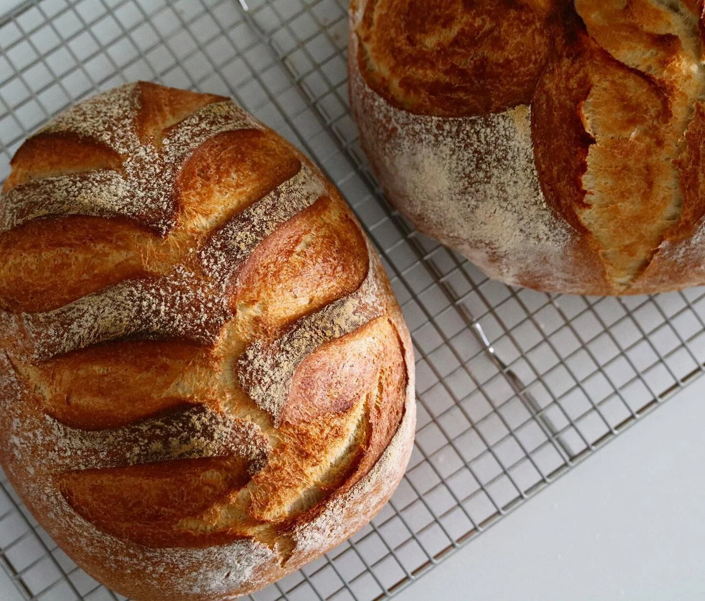 Sourdough Bread.jpeg