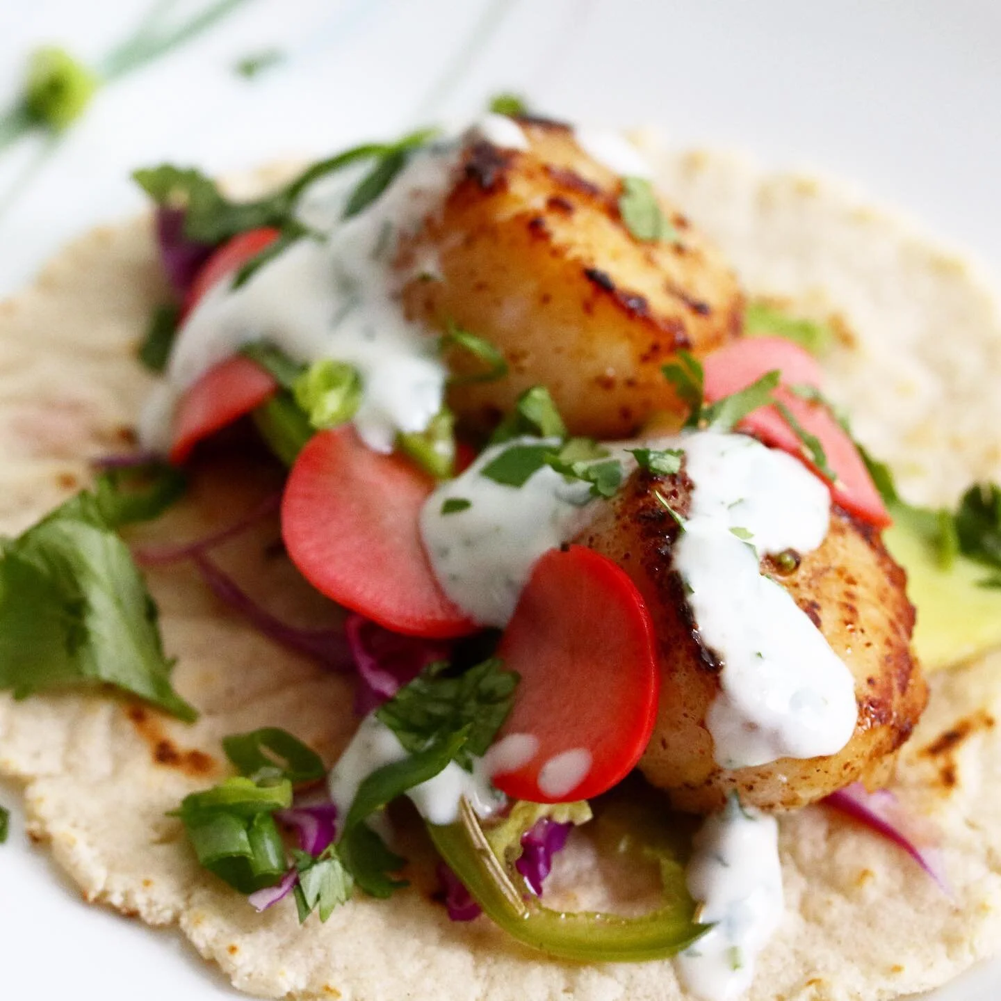 Scallop Taco.jpeg