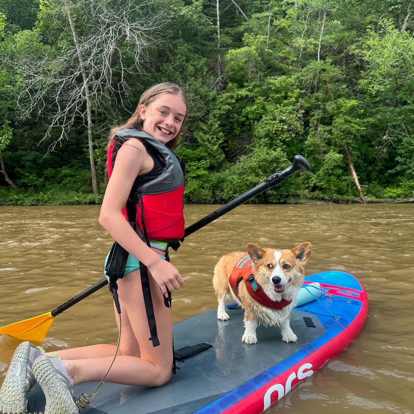 Everything is Better with a Corgi