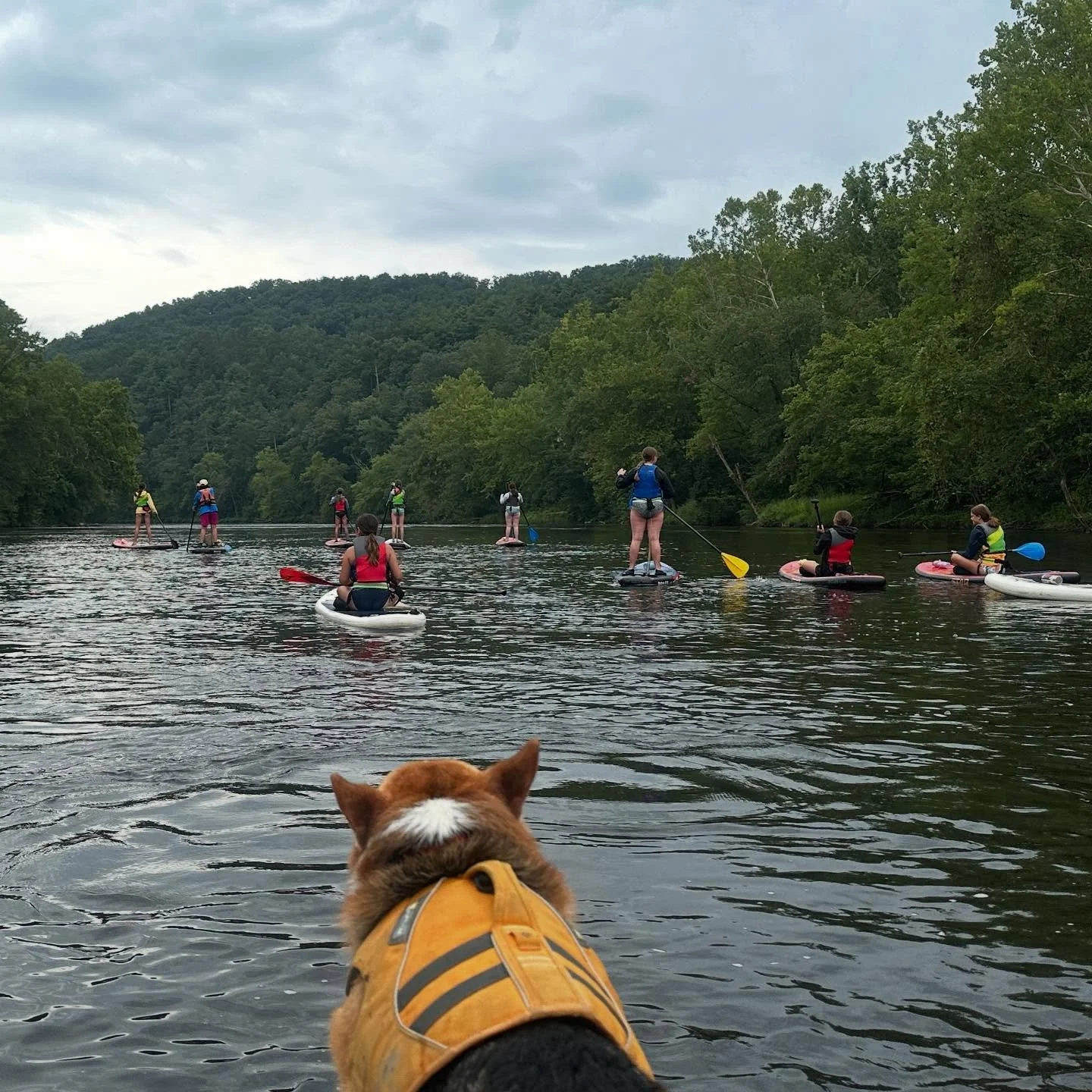 SUPing from Gala to Craig’s Creek