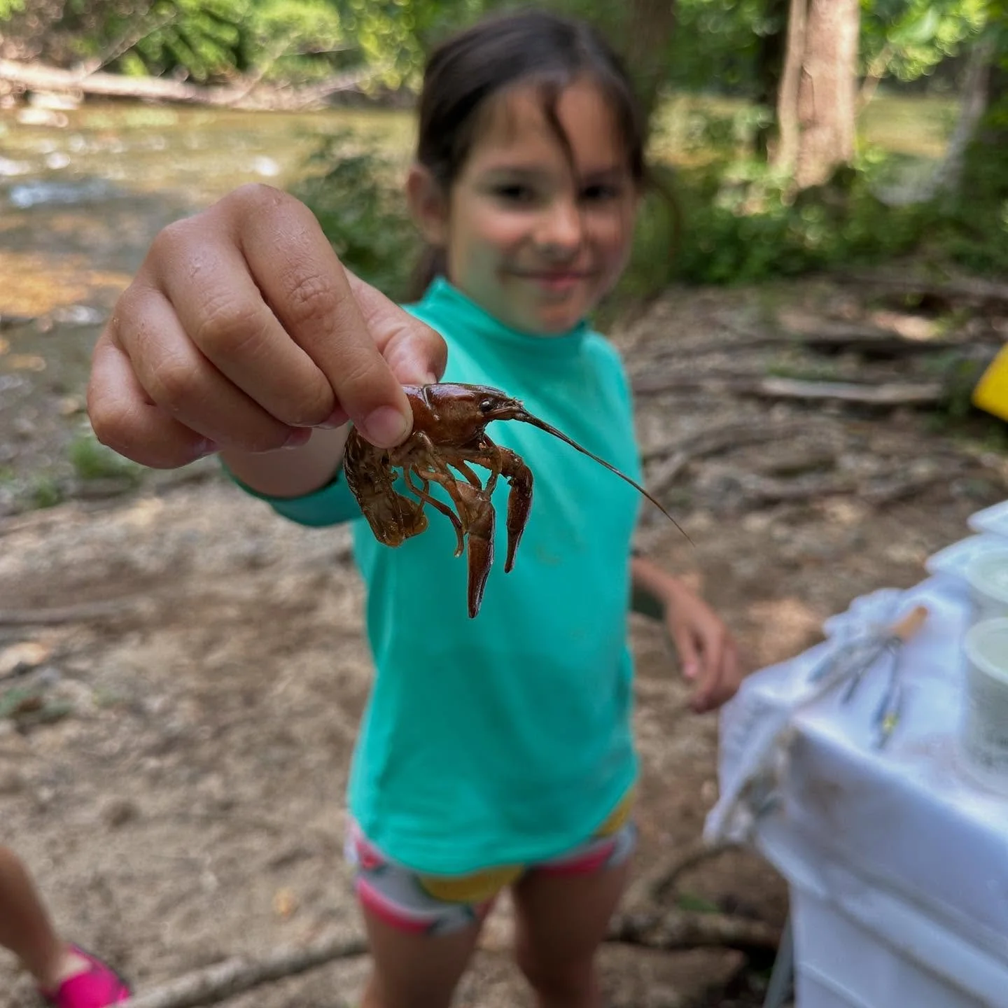 Intro to SUPing and Macroinvertebrate Exploration: Tuesday, July 21st (click here to enroll)