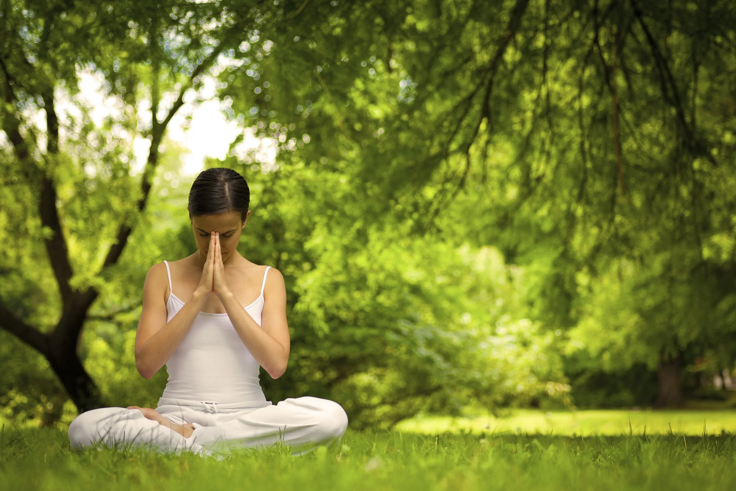 Forest Bathing on Mill Mountain: Saturday, October 3rd (click here to enroll)