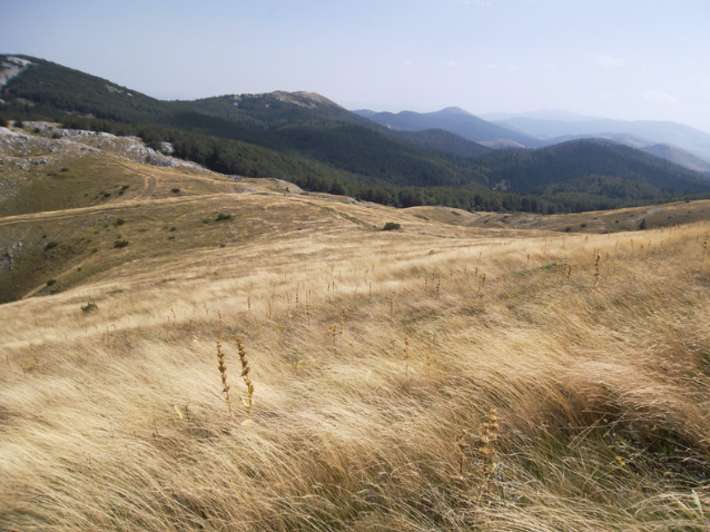 Cold Mountain Hike: Saturday, October 24th (click here to enroll)