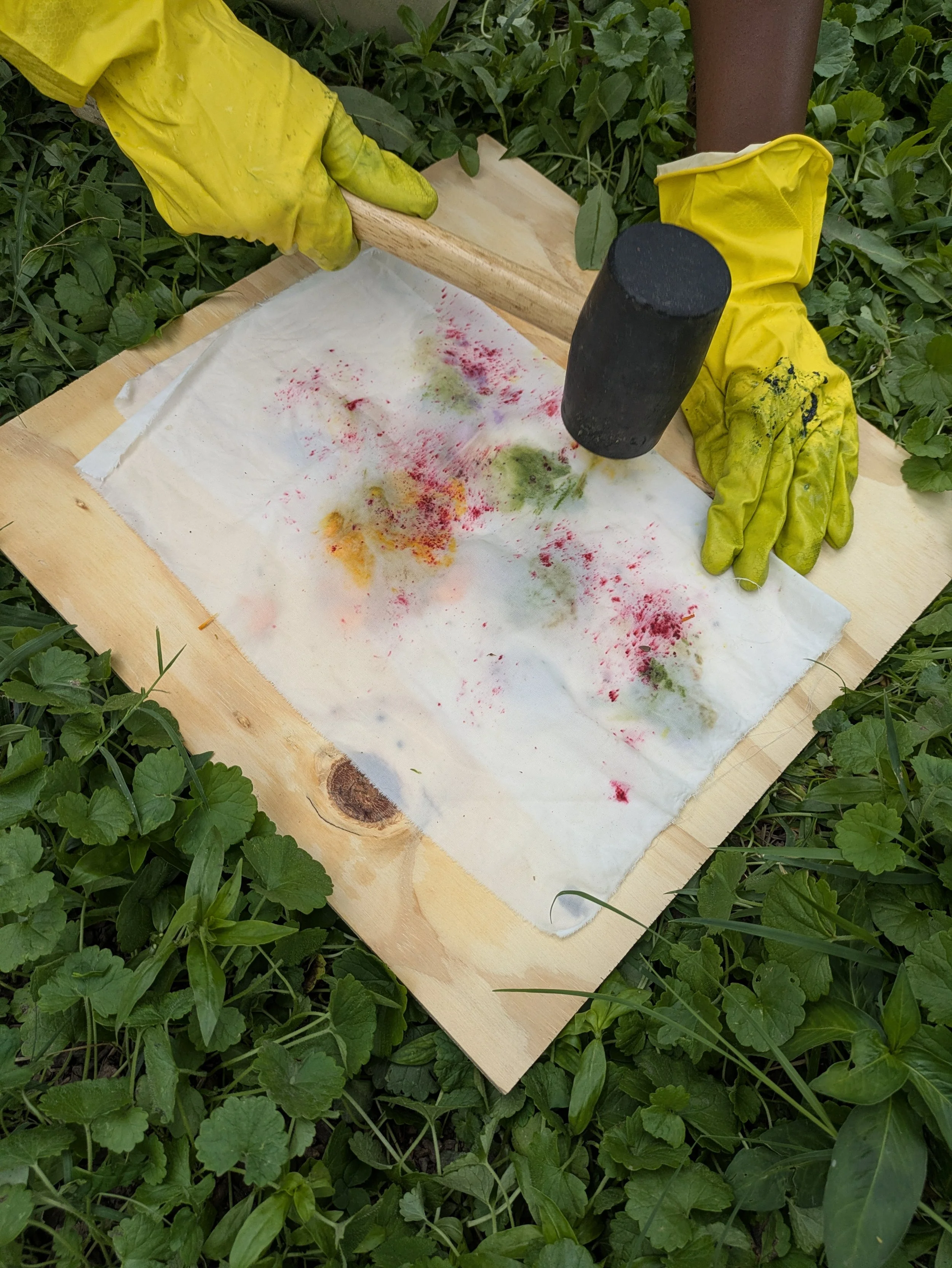 Botanical Contact Printing: Saturday, September 19th (click here to enroll)