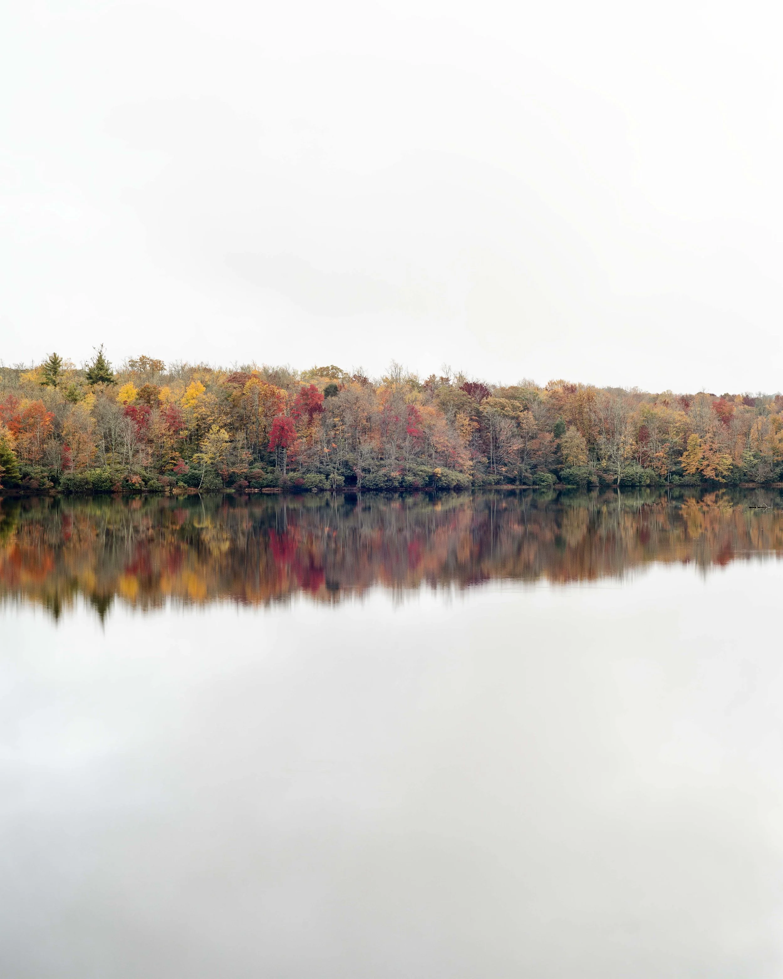20-10-12_DSC02677-1.jpg