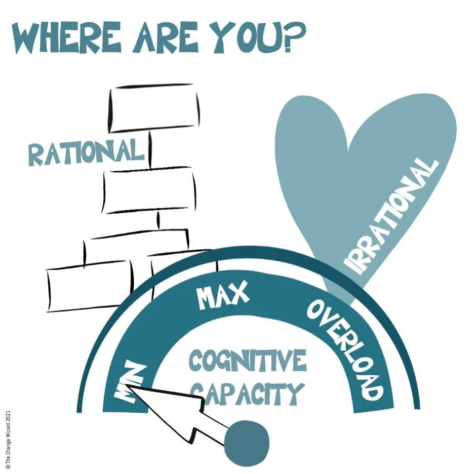 When we are cognitively overloaded, we do not think rationally, we think irrationally. We run on survival tactics, coping. 

Our brains are not designed for our modern world and cannot evolve fast enough.

It feels that this has accelerated in the la