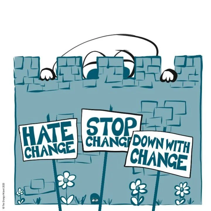 Keep change below the 'Threat Threshold' - once the defensive wall is triggered, it is tough to overcome. 

When we sense a threat, our bodies take over, they send adrenalin and cortisol flooding through our bodies ready for fight or flight before we