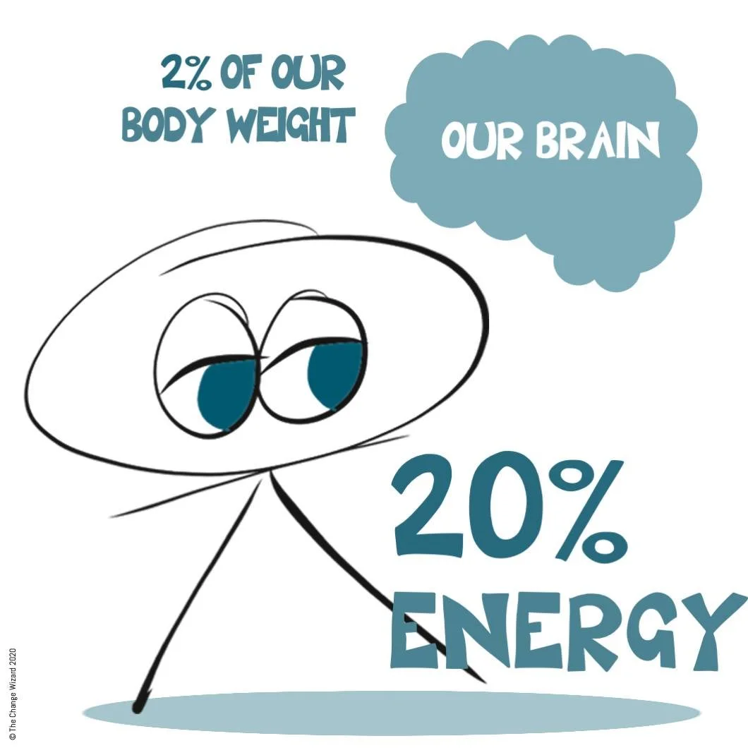 Our brains weigh 2% of our body weight, yet use 20% of our energy, which is why decision-making and uncertainty exhaust us.

This is one of our favourite &lsquo;disruptive&rsquo; facts when we teach the theory of why humans do what humans do.

It hel