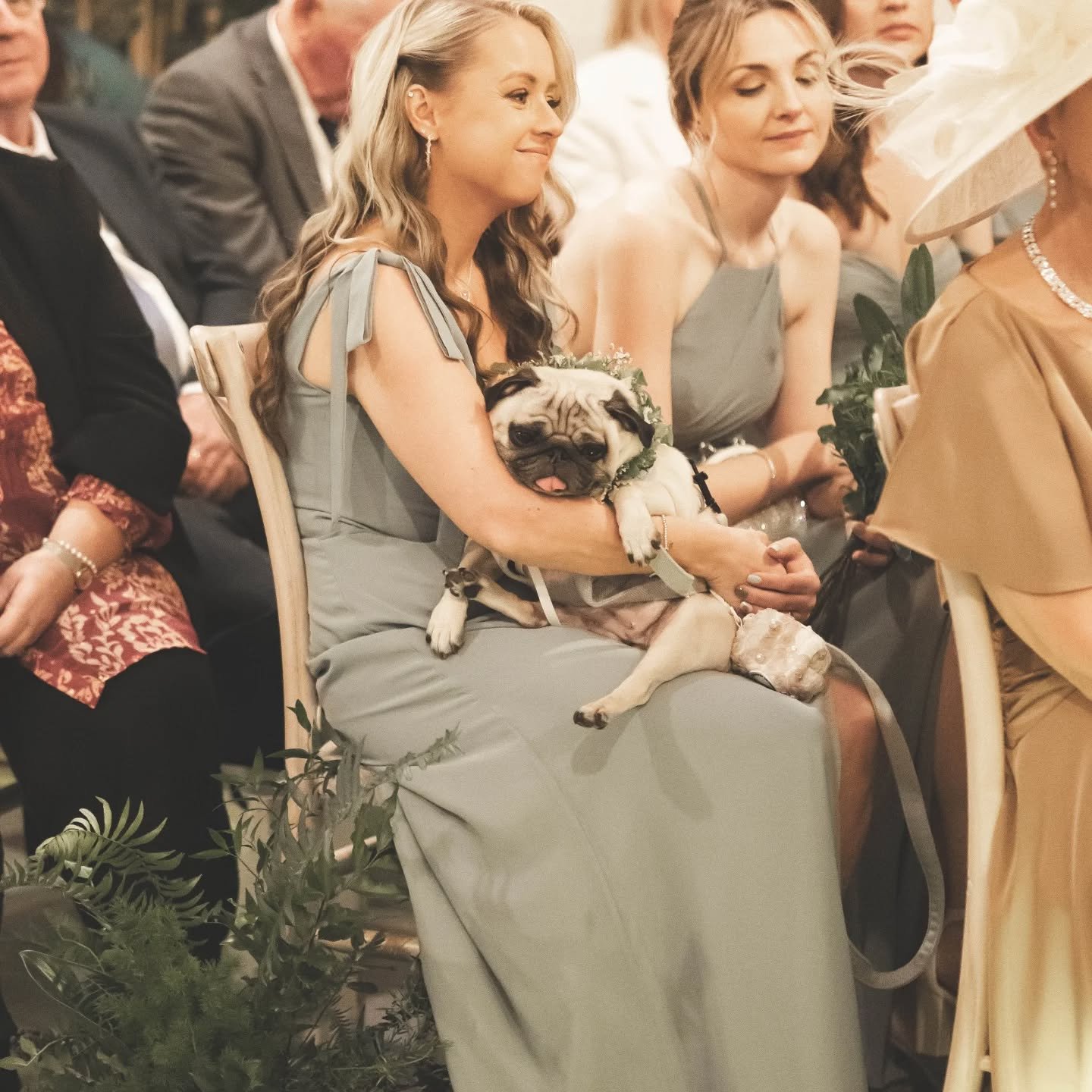 I think Betty enjoyed her flower girl responsibilities, but obviously found it all a bit exhausting too 🌸 how cute does she look with her floral collar on?!😍🌿

Photos @shutterandjoy 
Venue @sandonmanor 
Catering @portfolio_events 

#hertfordshire 