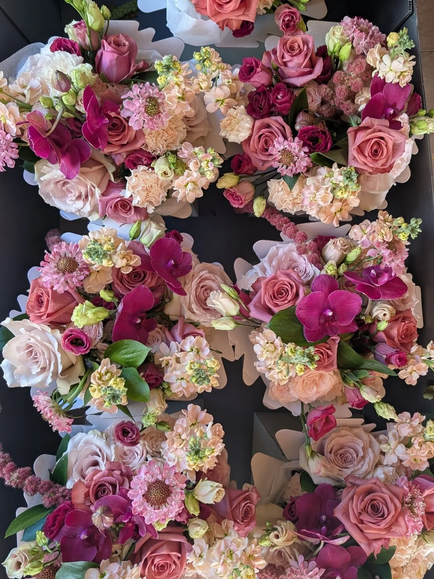 This dreamy colour palette needed to make it to the grid. 😍 8  beautiful bridesmaid posies,  a bold trailing Bridal bouquet, and 13 buttonholes for the gents. With a beautiful mix of soft pinks, apricots and darker burgundy/cerise tones. To complime