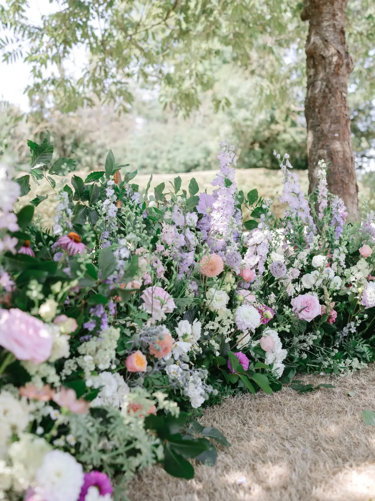 A gorgeous pastel combo for this ceremony backdrop 🩷💜 a stunning crescent meadow to frame the couple during the ceremony. 

Photo @nikkiwatkinsphotoandfilm 

#hertfordshirewedding #hertfordshireflorist #bedfordshireflorist #cambridgeflorist #marque