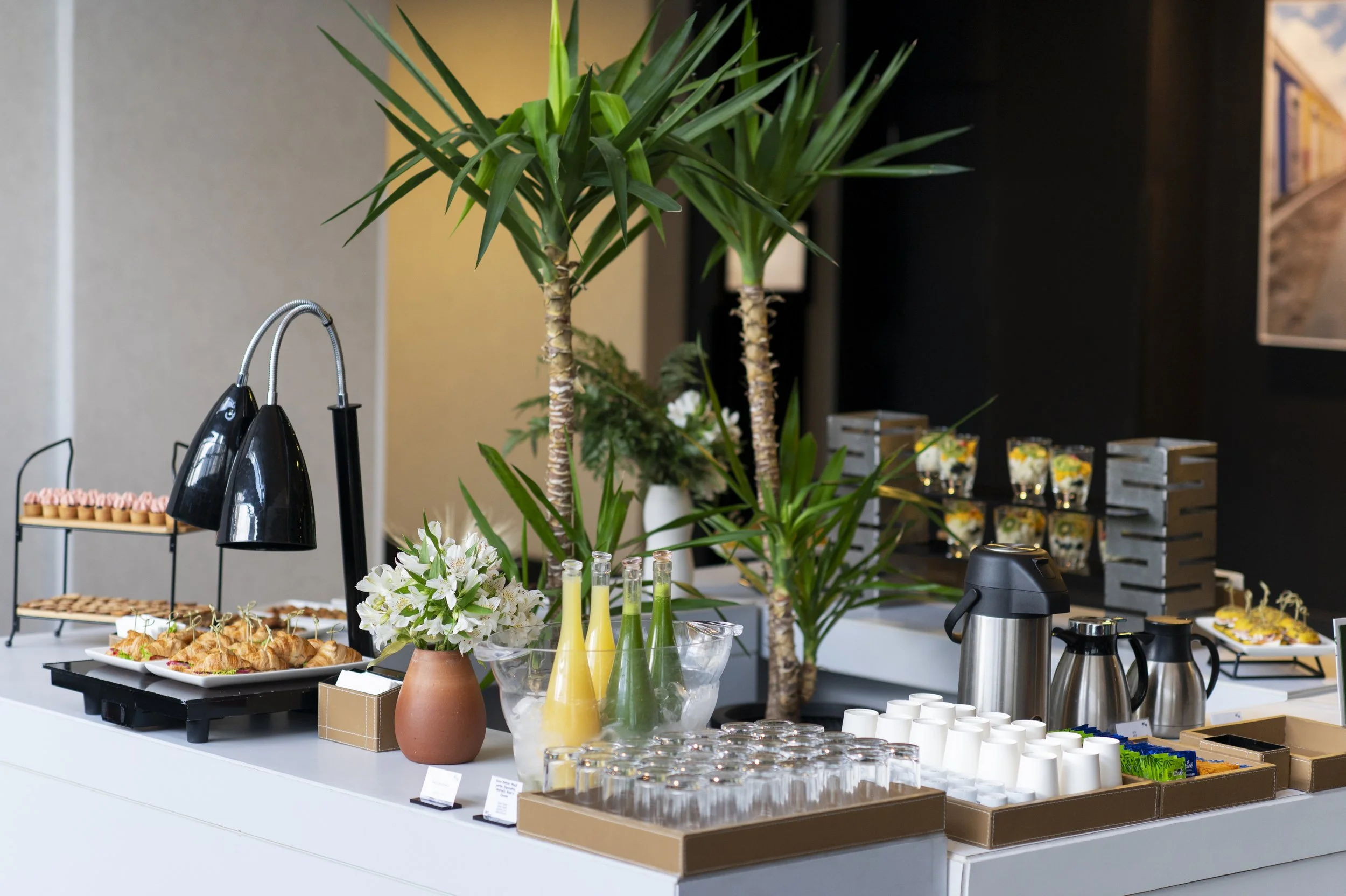 COFFEE BREAKS COMPLETOS