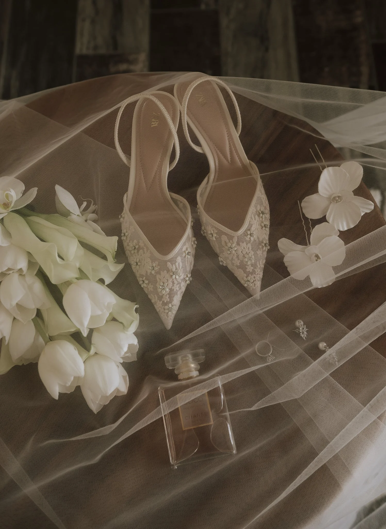 Preview ( T + N )-10_(2048).jpg