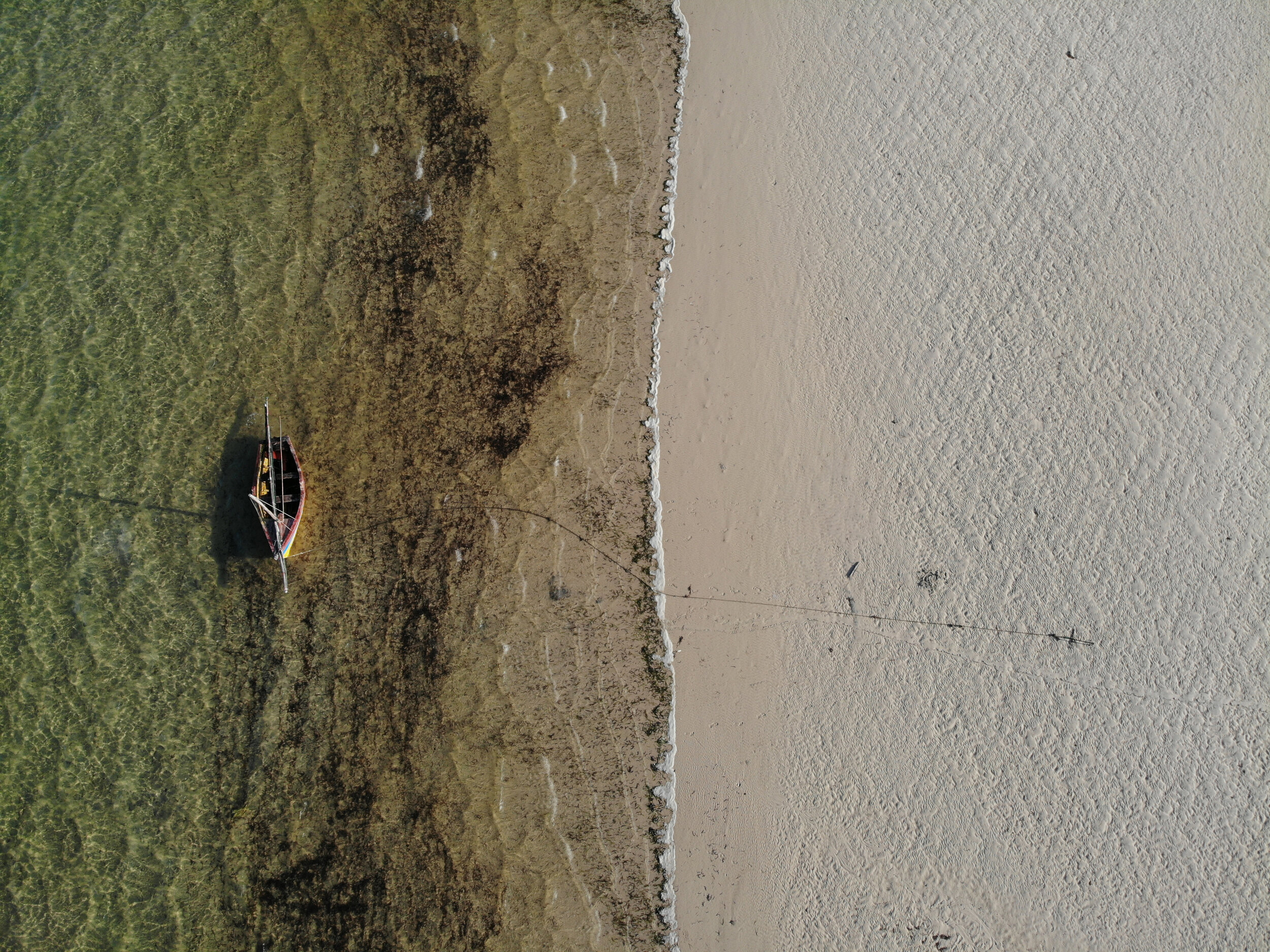 DJI_0020.jpeg