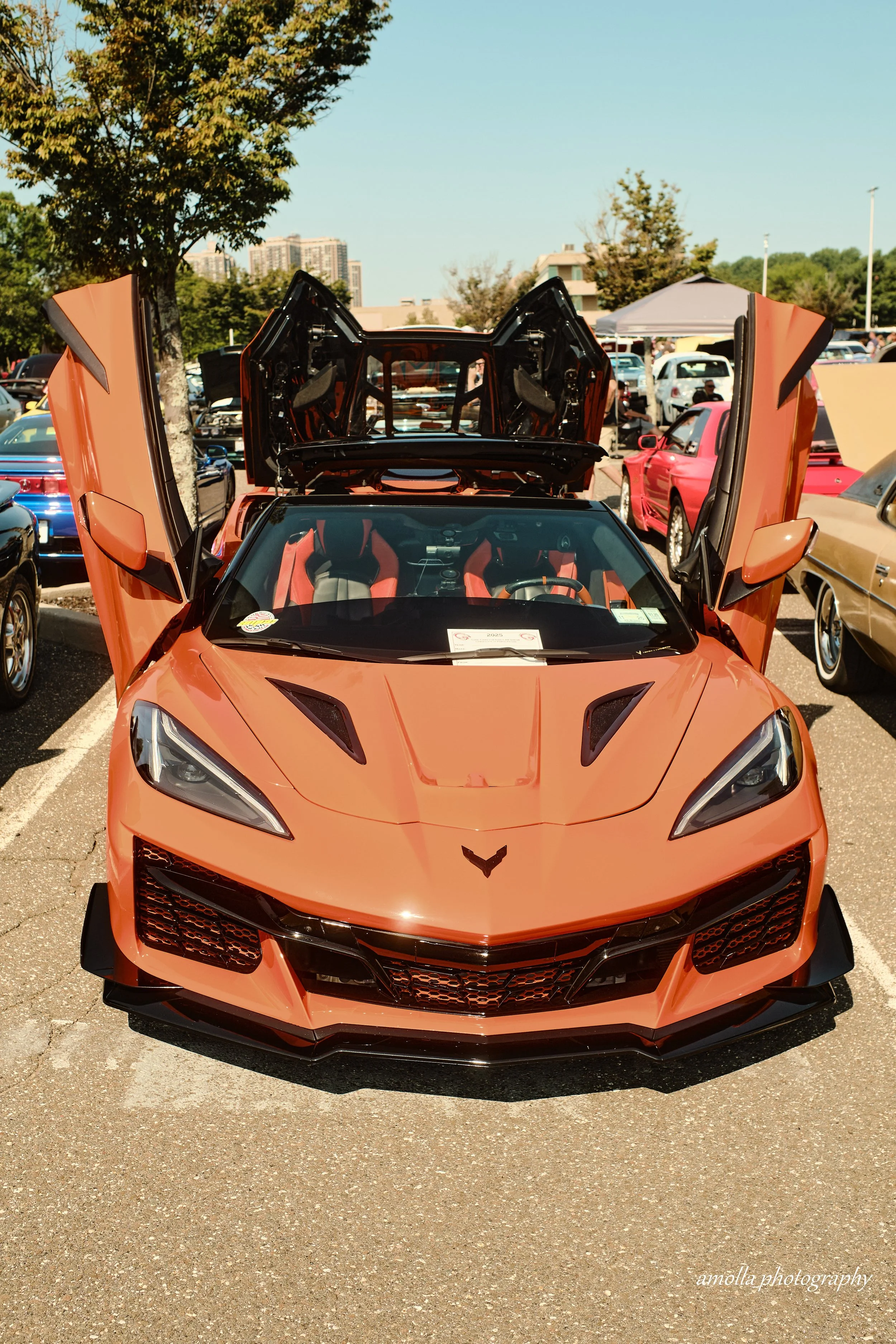 DSCF8996.jpg