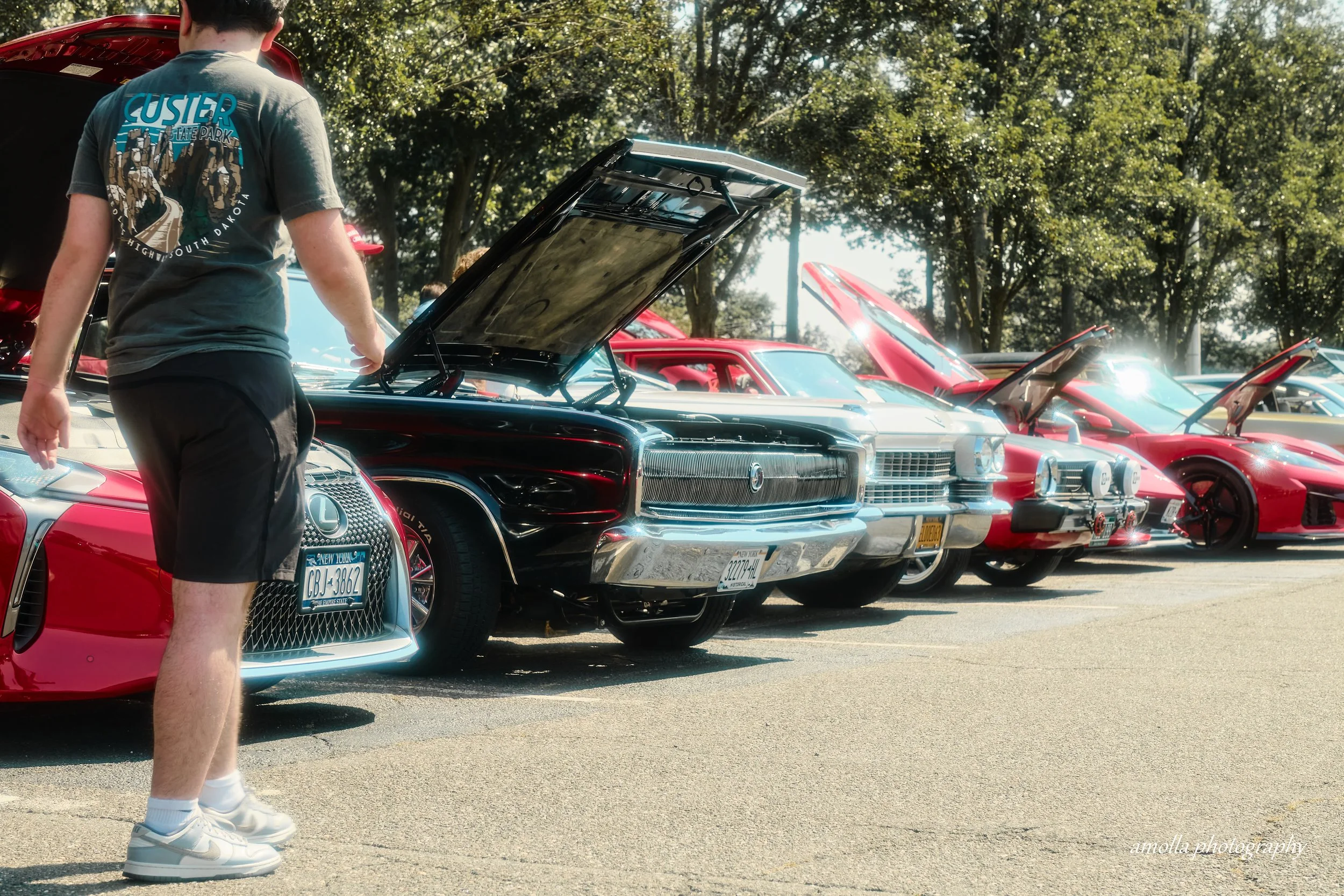 DSCF8235_1.jpg