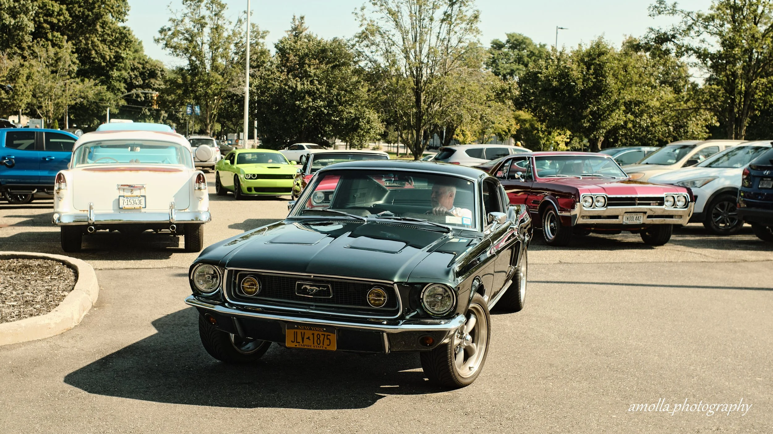 DSCF8920.jpg