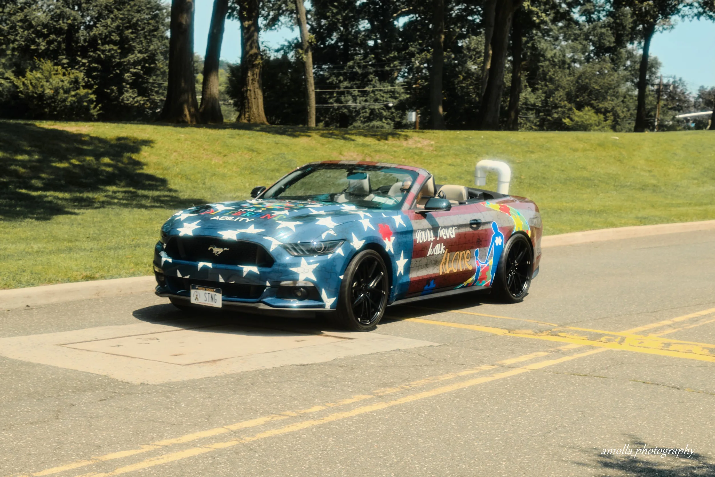 DSCF8356_1.jpg