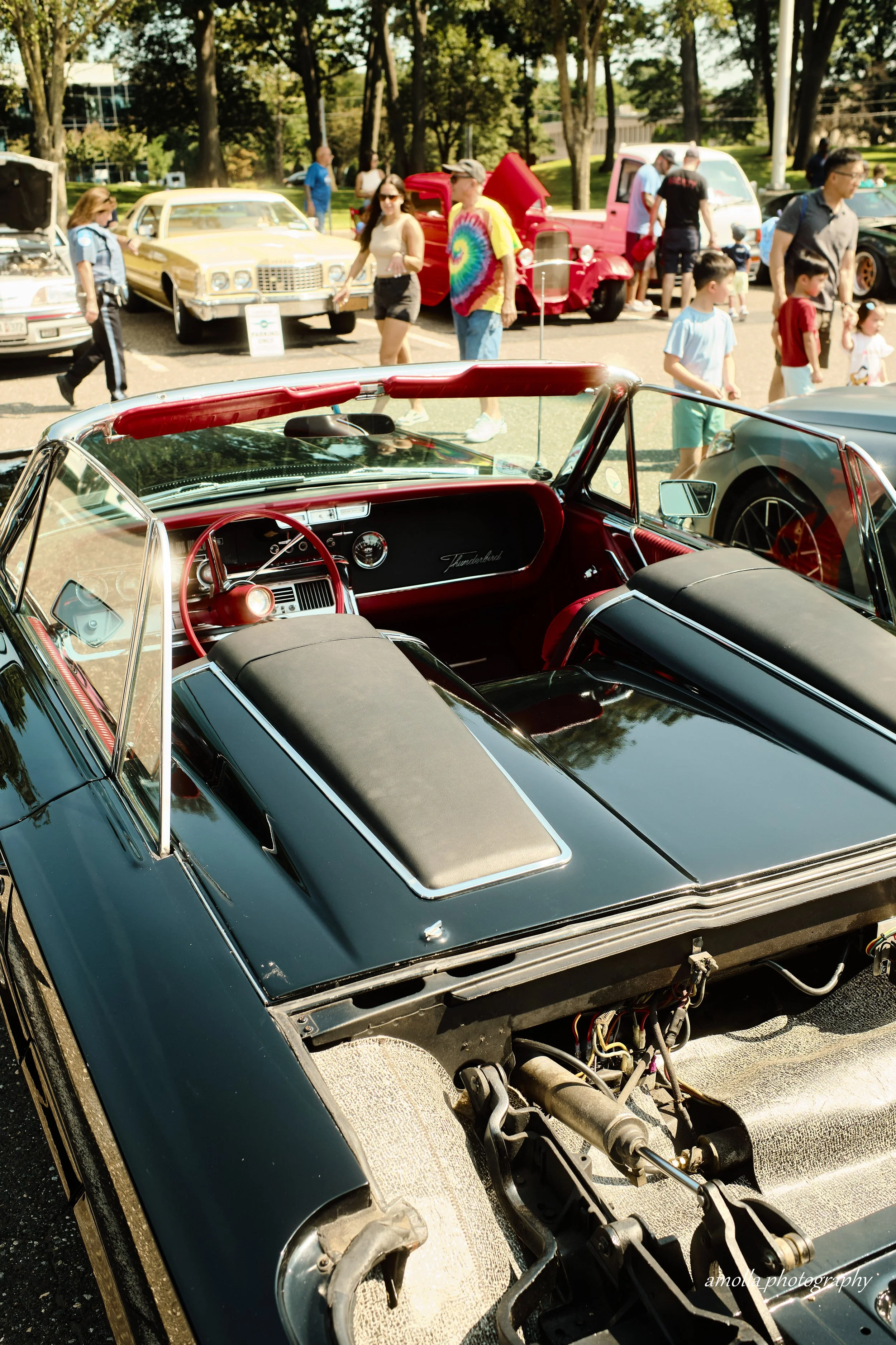 DSCF9173.jpg