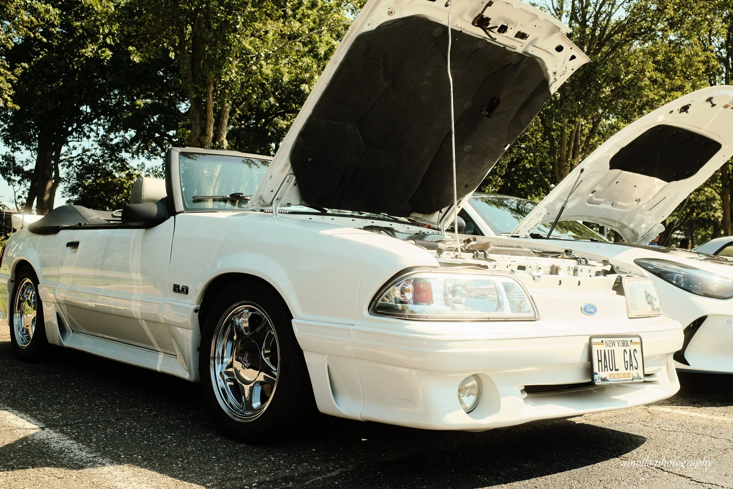 DSCF9176.jpg