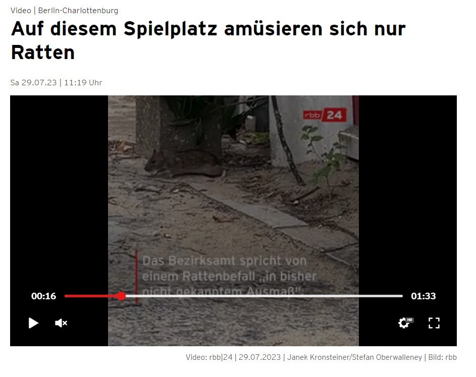 Charlottenburg Ratten.jpg