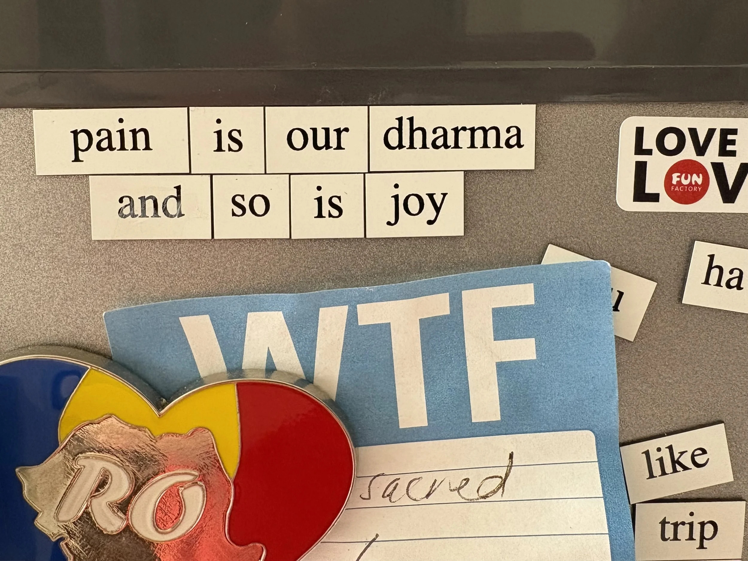Fridge poetry magnets that say 'Pain is our dharma and so is joy'