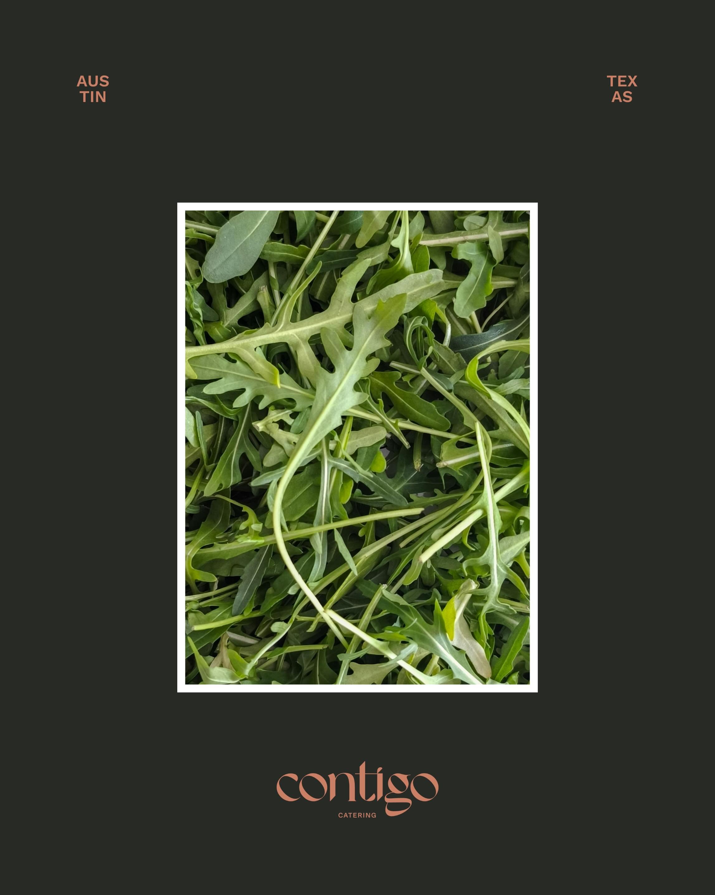 every menu we write starts with a question: what&rsquo;s growing right now, and how do we make it unforgettable? arugula is peppery, bright, and endlessly versatile. 

different salads, different stories, all built from scratch with the same level of