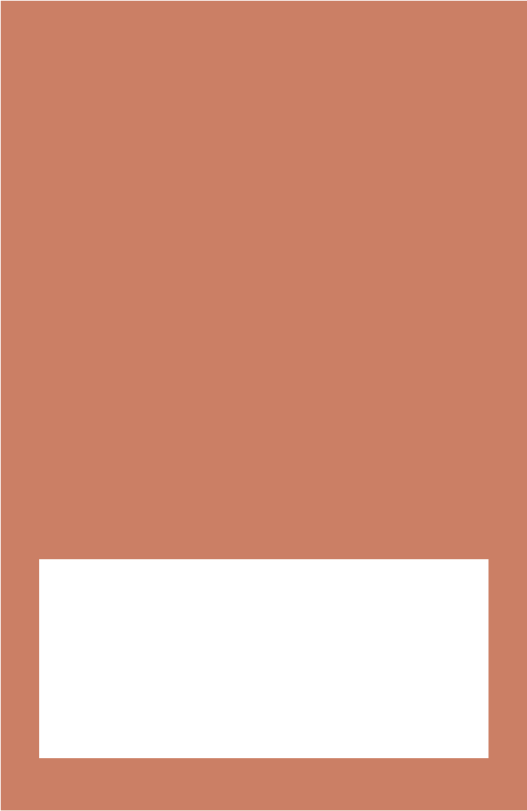 Solid terracotta-colored background with a wide black horizontal rectangle positioned near the bottom of the image