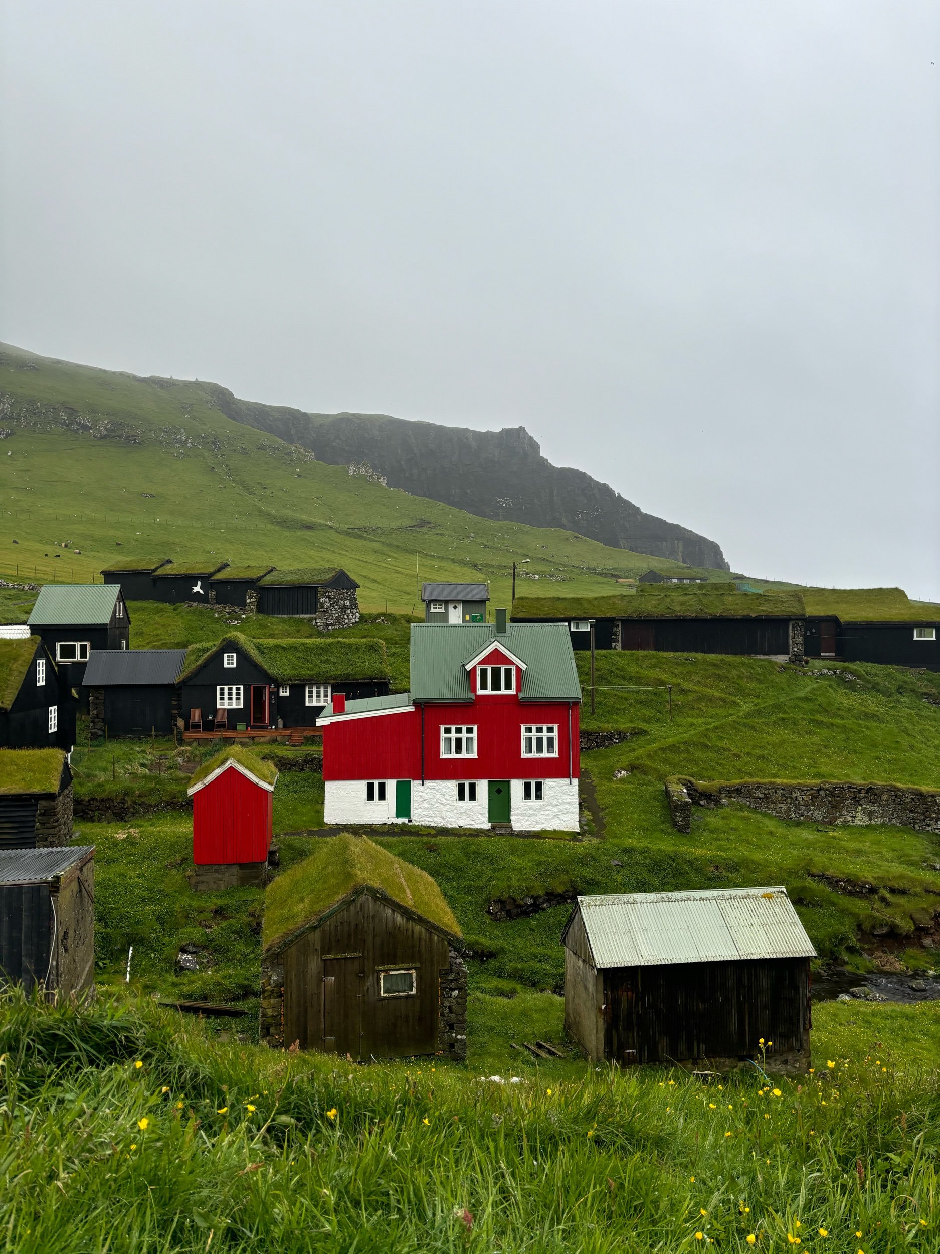 8C06620A-4E7A-4ABA-BA49-62593BB66947.jpeg