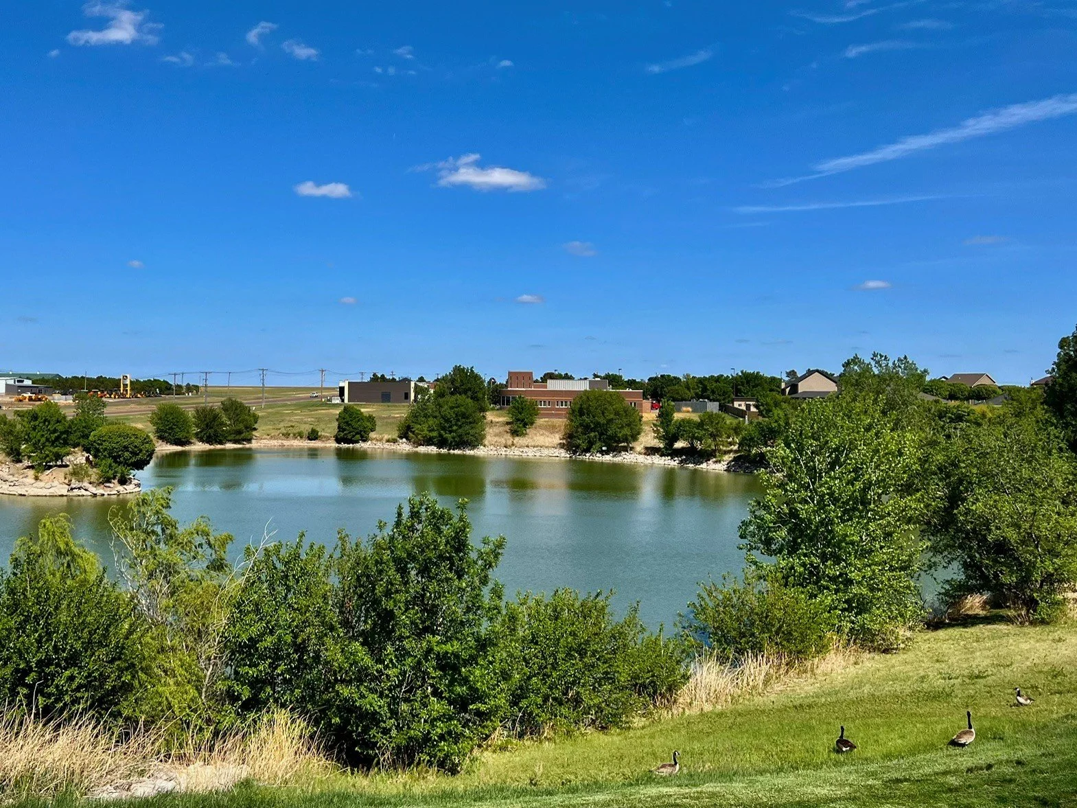 Pond View