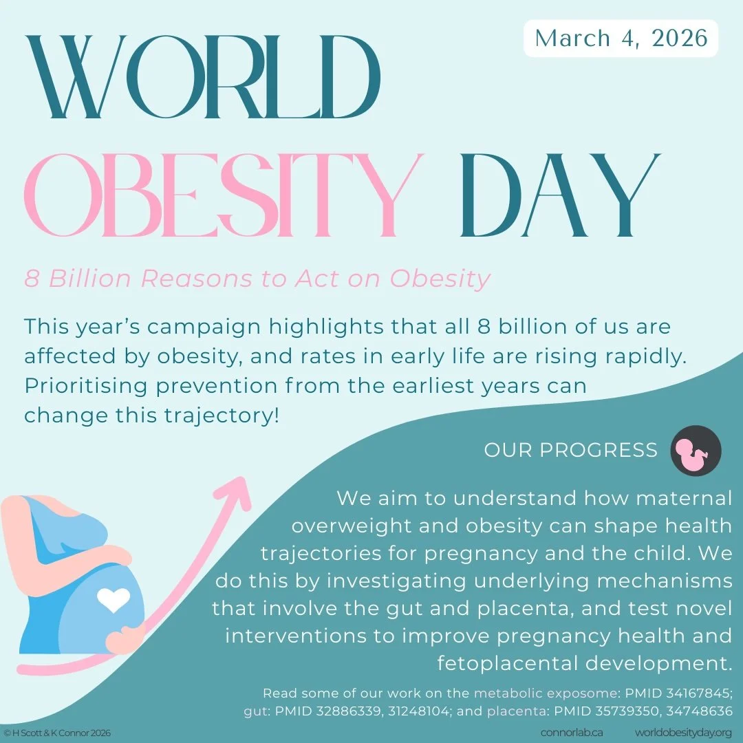 health promotion days World Obesity Day March 2026 v3.jpg
