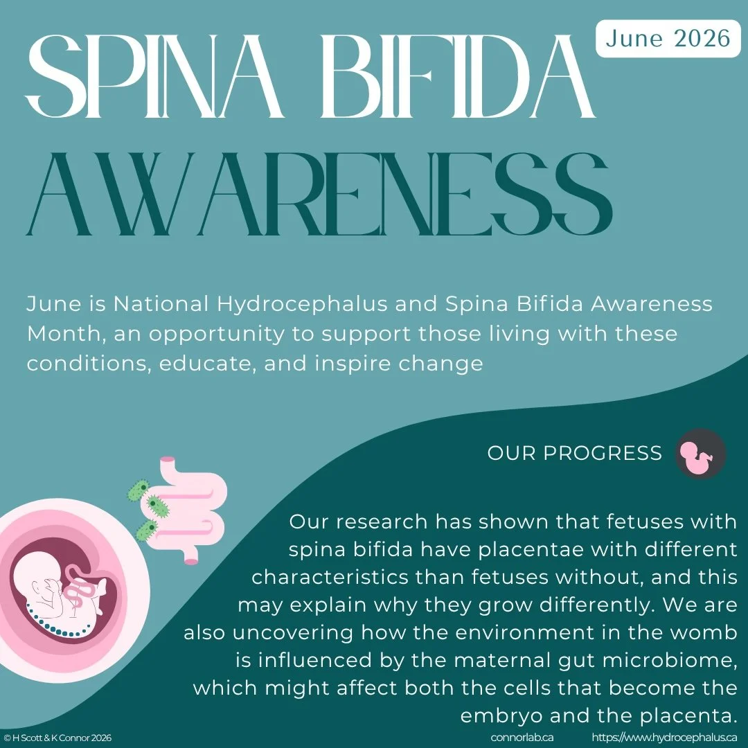 health promotion days Spina Bifida month June 2026 v3.jpg