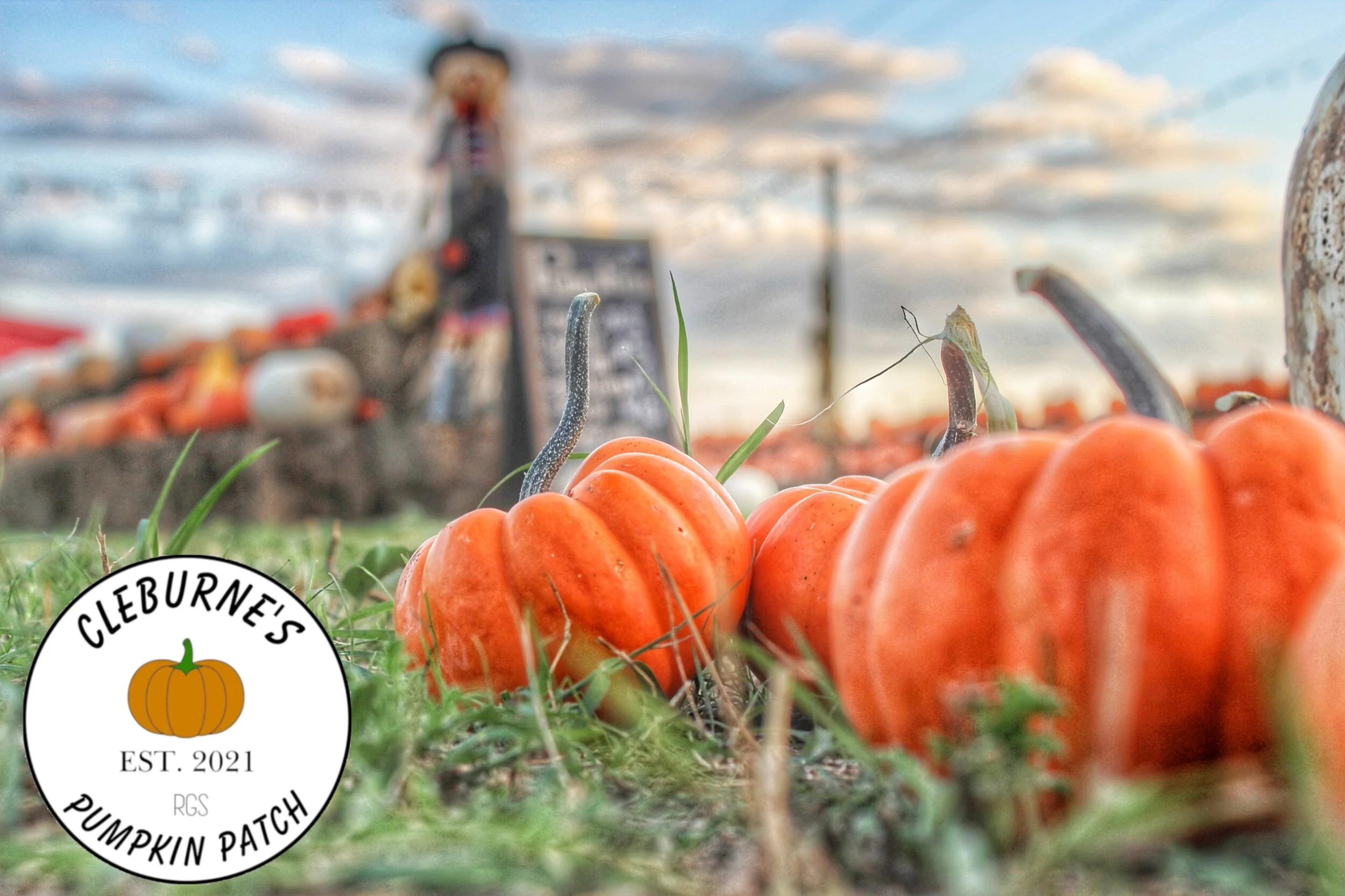 Program — Cleburne's Pumpkin Patch