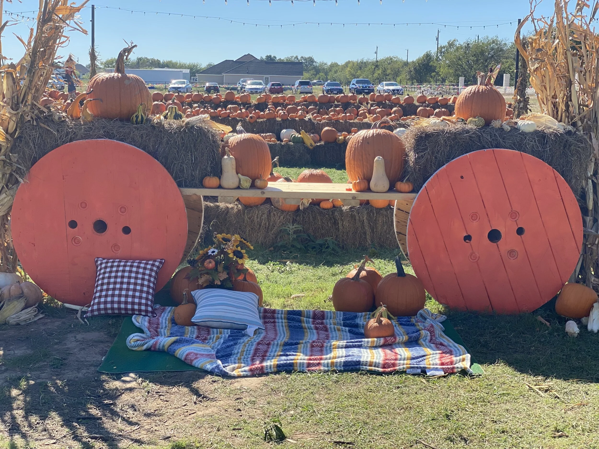 Cleburne's Pumpkin Patch