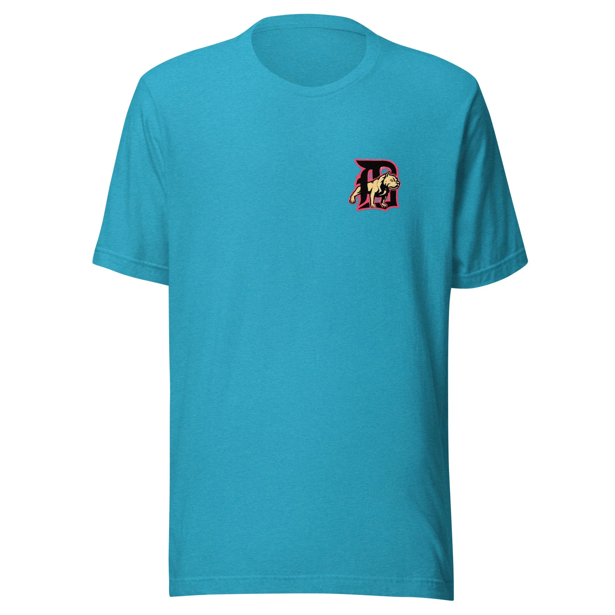 unisex-staple-t-shirt-heather-aqua-front-6a63ea27c1362.jpg