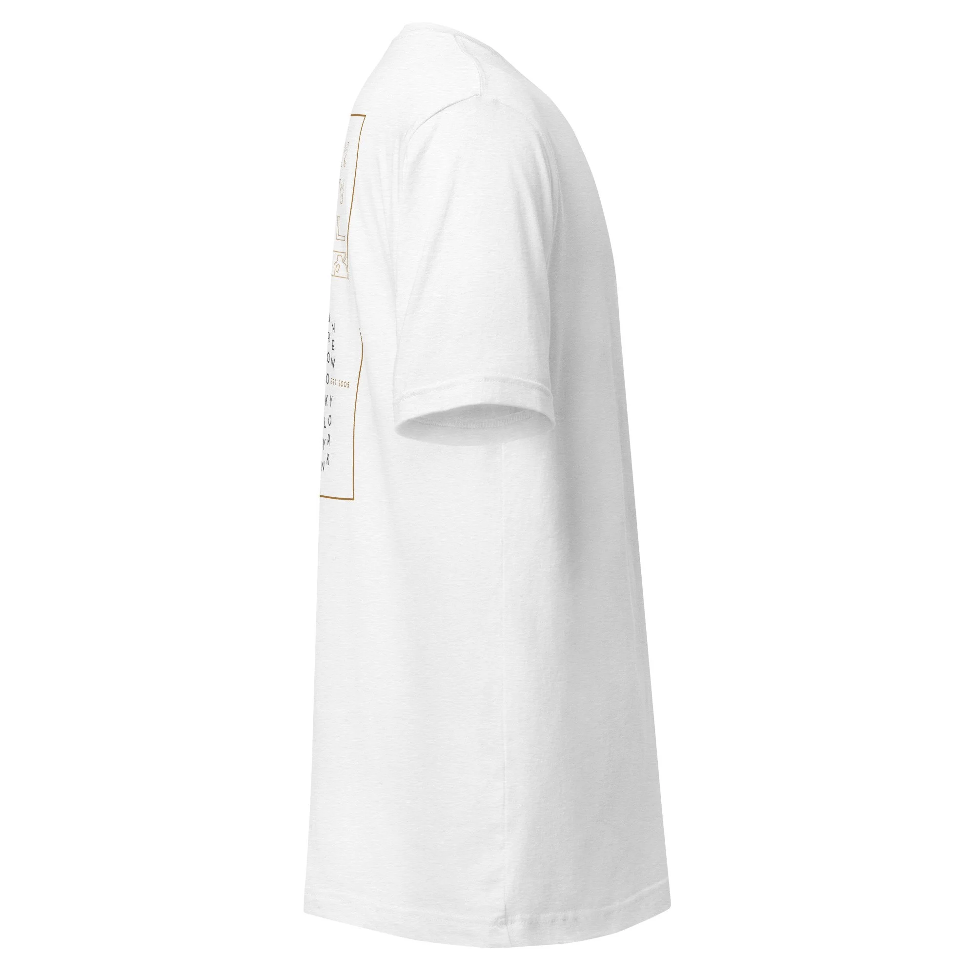 unisex-staple-t-shirt-solid-white-blend-right-6a63ee38be89b.jpg