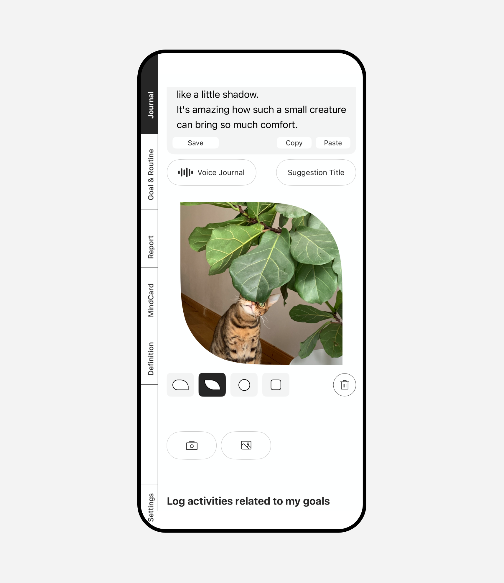 JournalCircle journal editor screen showing photo shape options and a voice journal feature, allowing users to customize how they capture their thoughts.