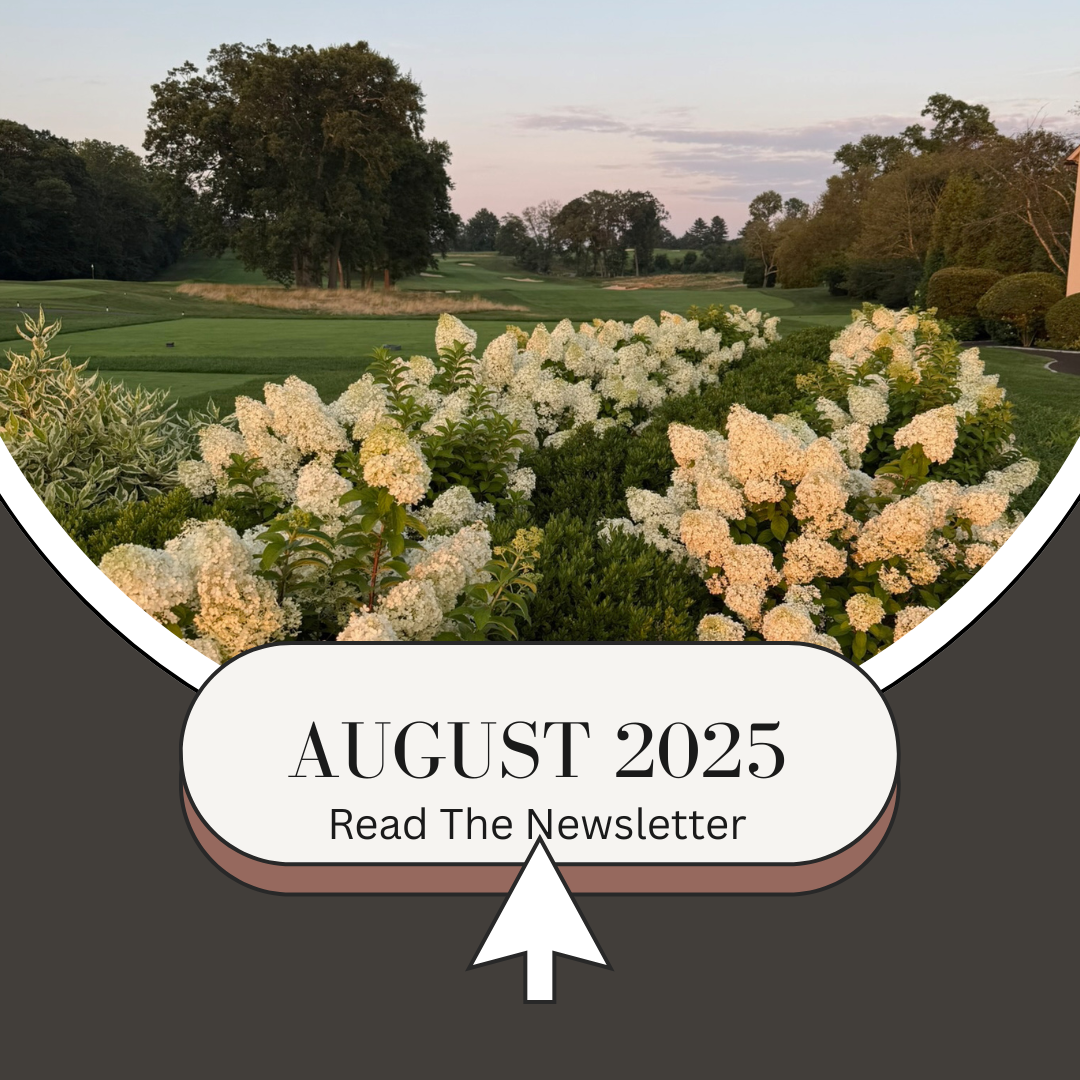 August Newsletter, 7B Design