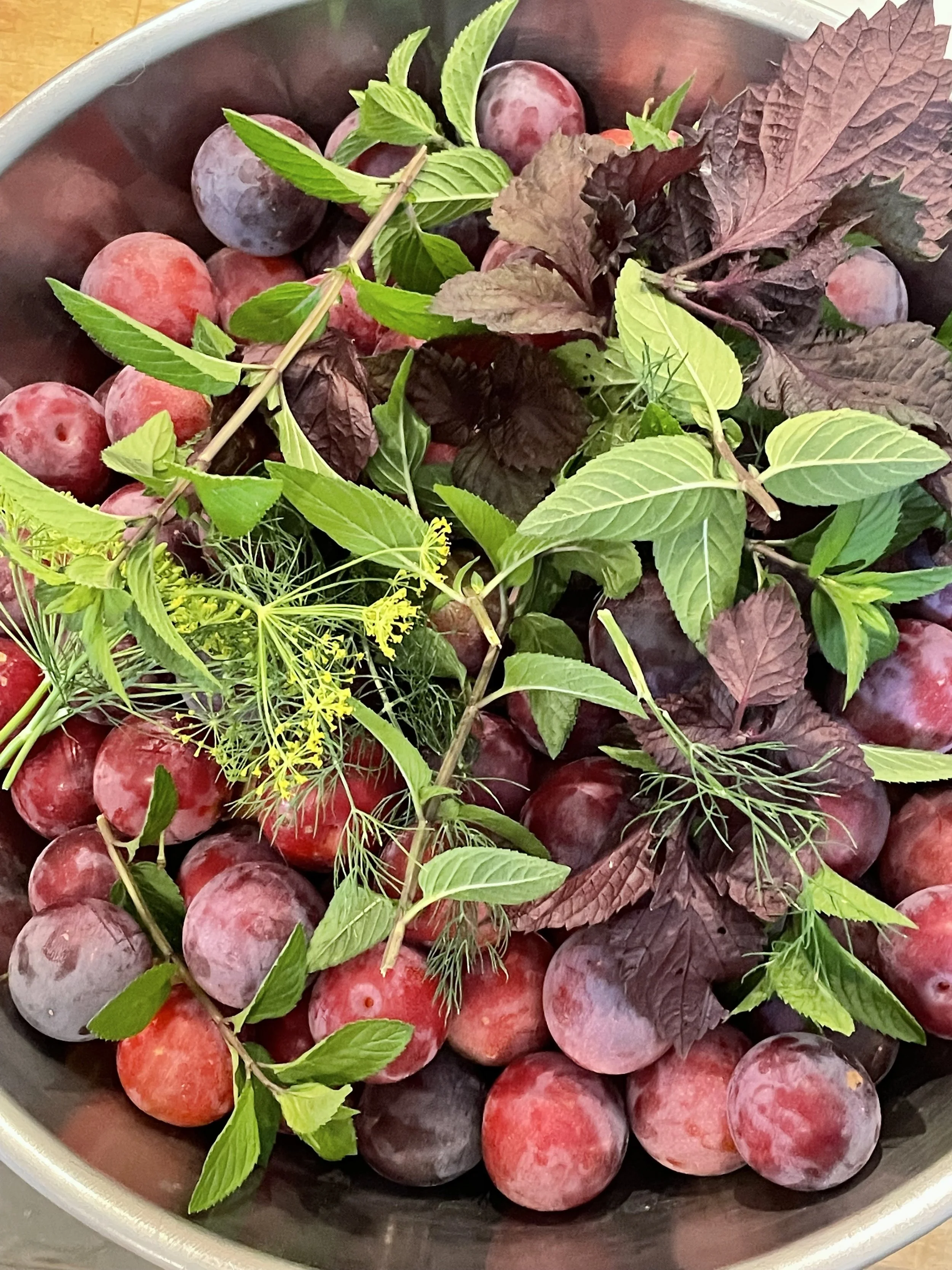 Red Dwarf Plums From The Backyard and More Of Our Chocolate Mint