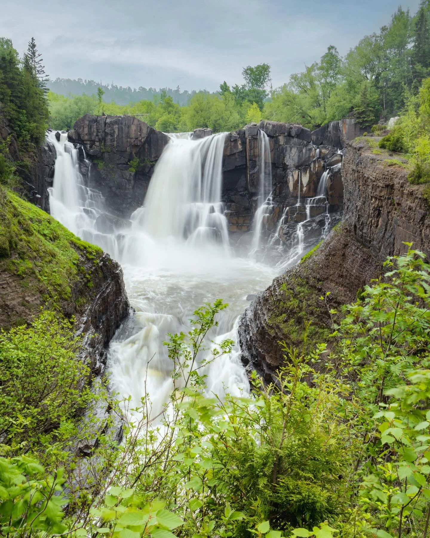June! I only hang out with animals