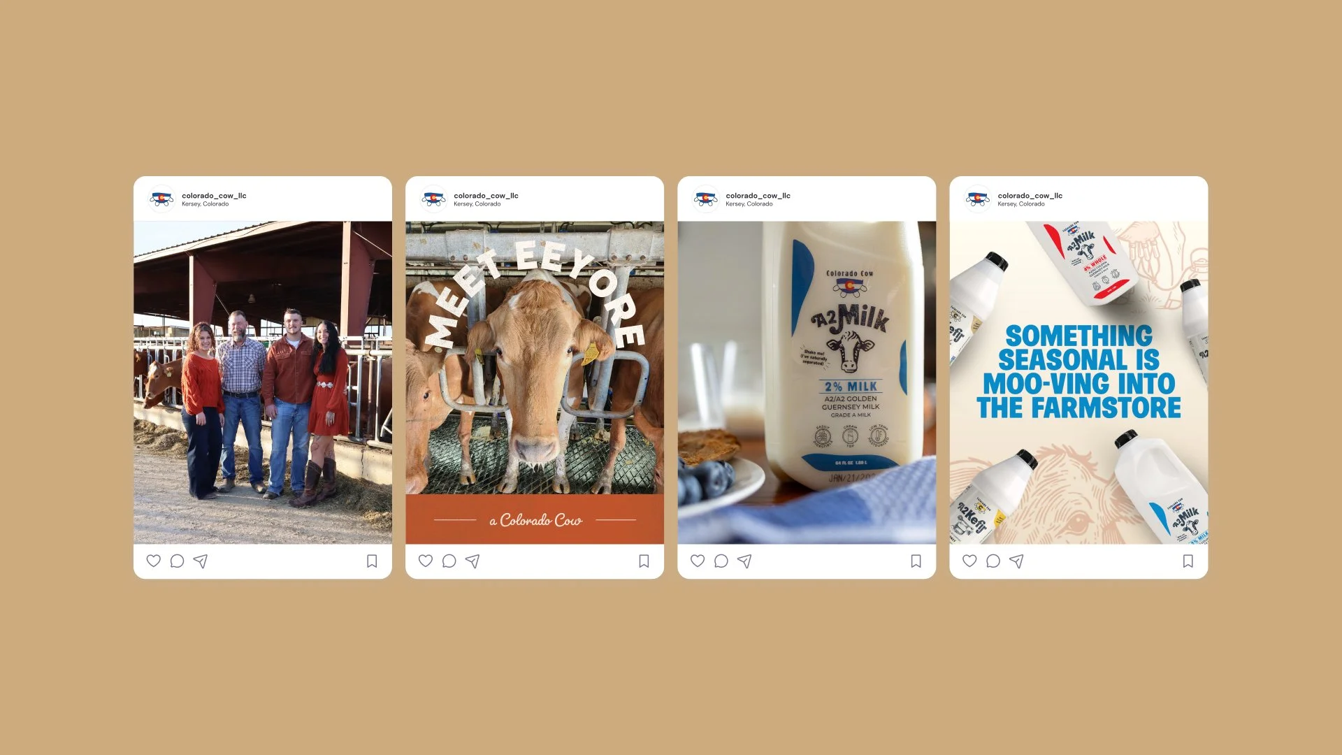 Concept 1 - Slide 12.jpg