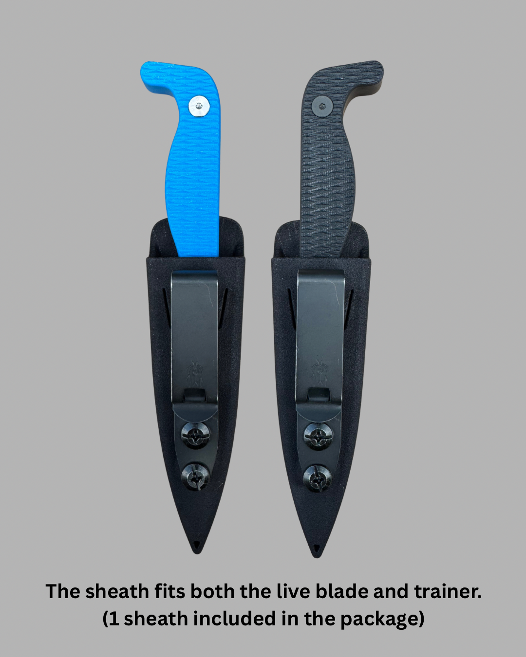 Copy of Ehud package includes Live Blade, Training Blade, Sheath, and Clip - 3.PNG