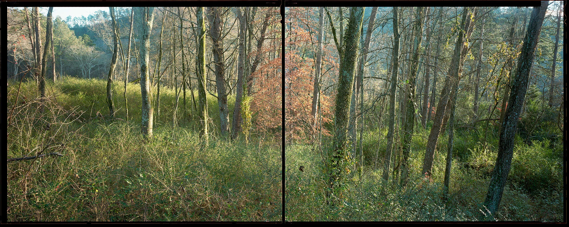 20_Ringgold+Gap-GA_Dudik.jpg