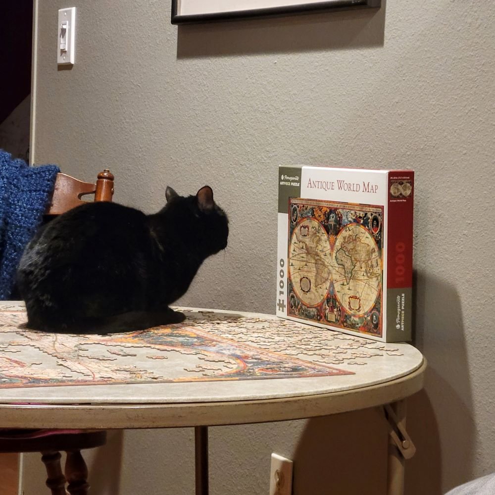 cat-looking-at-puzzle.jpg