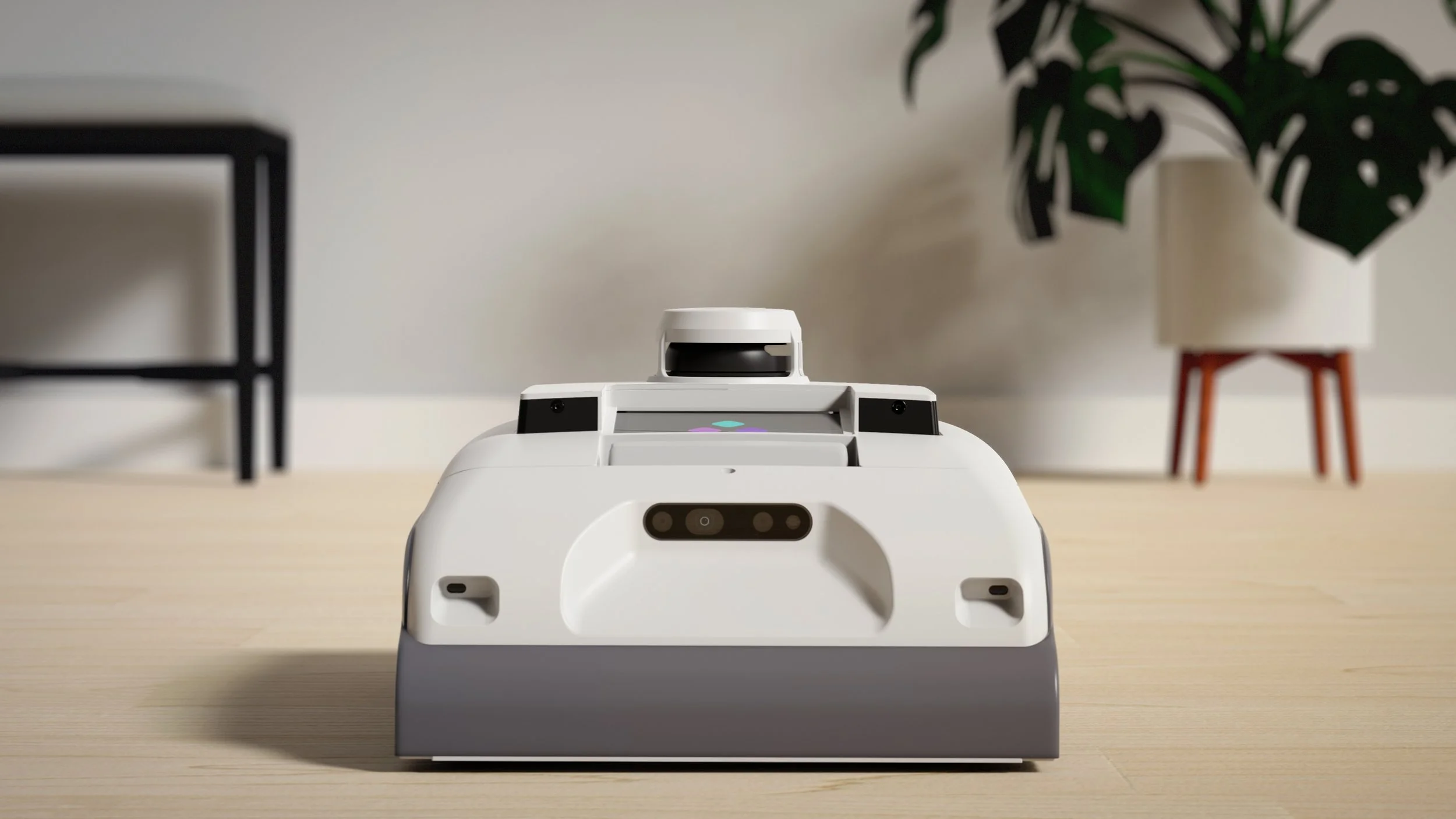 Front view of Rosie with blurred background