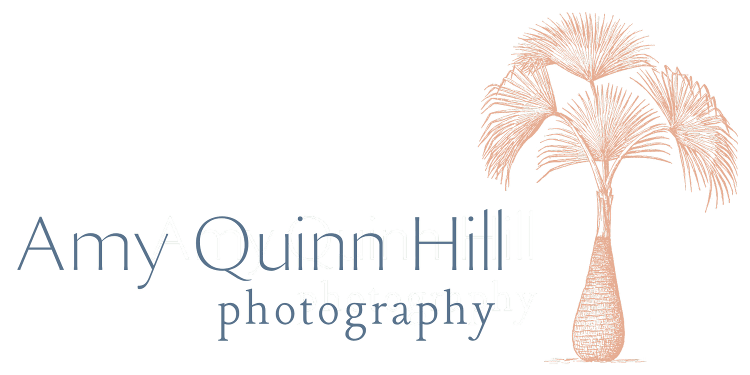 Family, Senior and Personal Branding Photographer Charleston, SC - Amy Quinn Hill Photography
